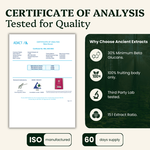 Tremella Mushroom Organic Extract - 30% Beta Glucans (60g) - Ancient Extracts