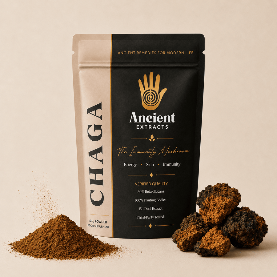 Chaga Mushroom Extract Powder