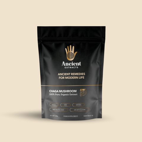 Chaga Mushroom Extract Powder - Mushroom Extract - Ancient Extracts
