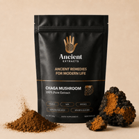 Chaga Mushroom Extract Powder - Mushroom Extract - Ancient Extracts