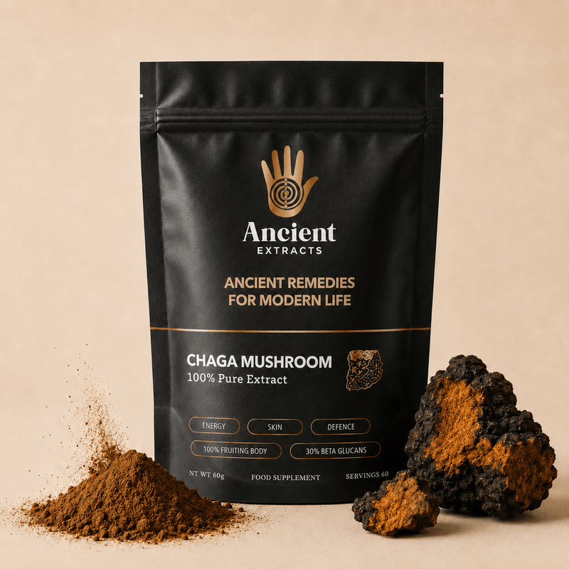 Chaga Mushroom Extract Powder