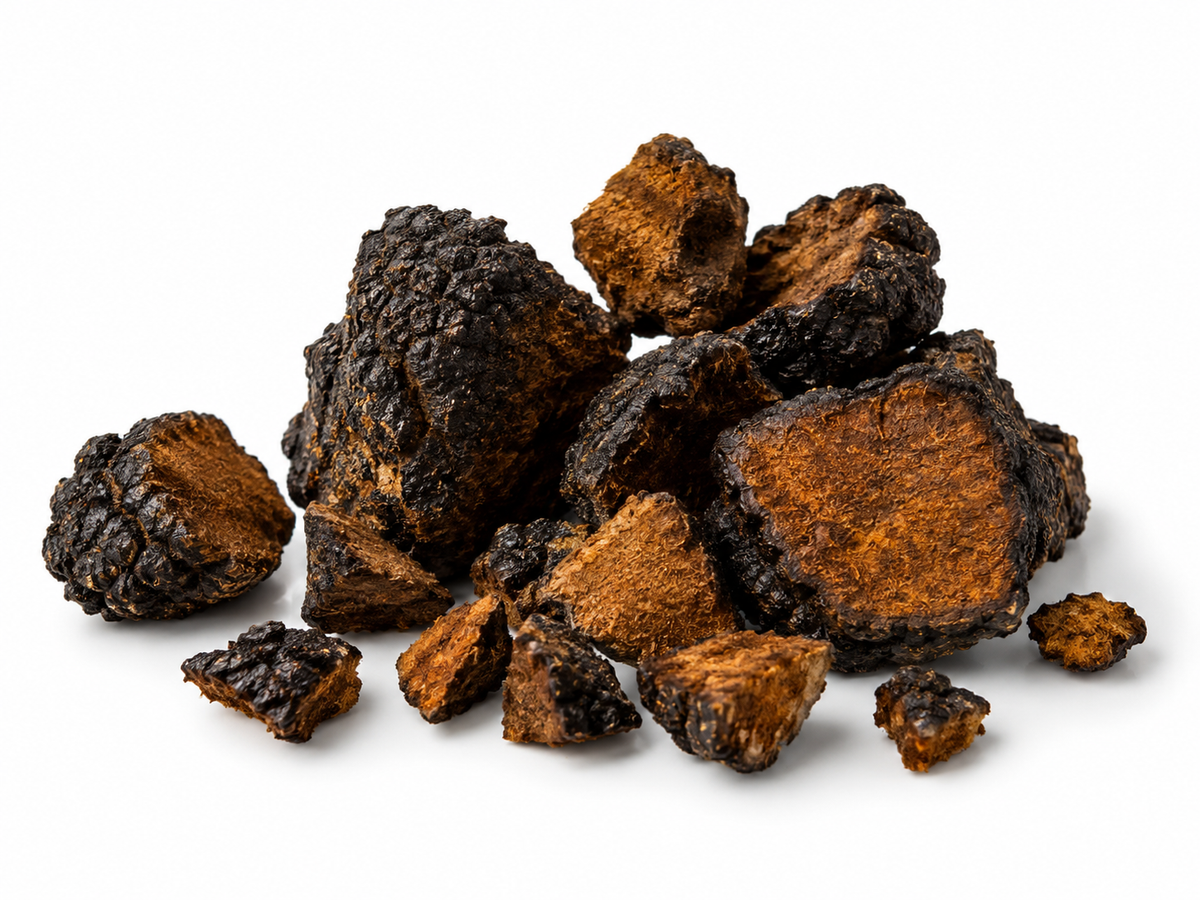 Chaga Extract