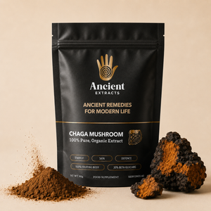 Chaga Mushroom Extract Powder