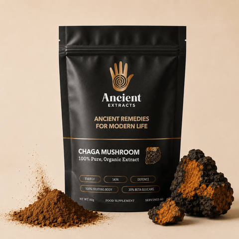 Chaga Mushroom Extract Powder - Mushroom Extract - Ancient Extracts