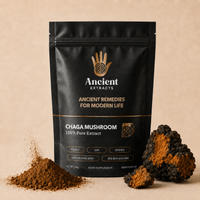 Chaga Mushroom Extract (30g)
