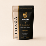 Chaga Mushroom (30g)