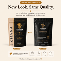Energy Pair Cordyceps & Chaga Extracts - Ancient Extracts