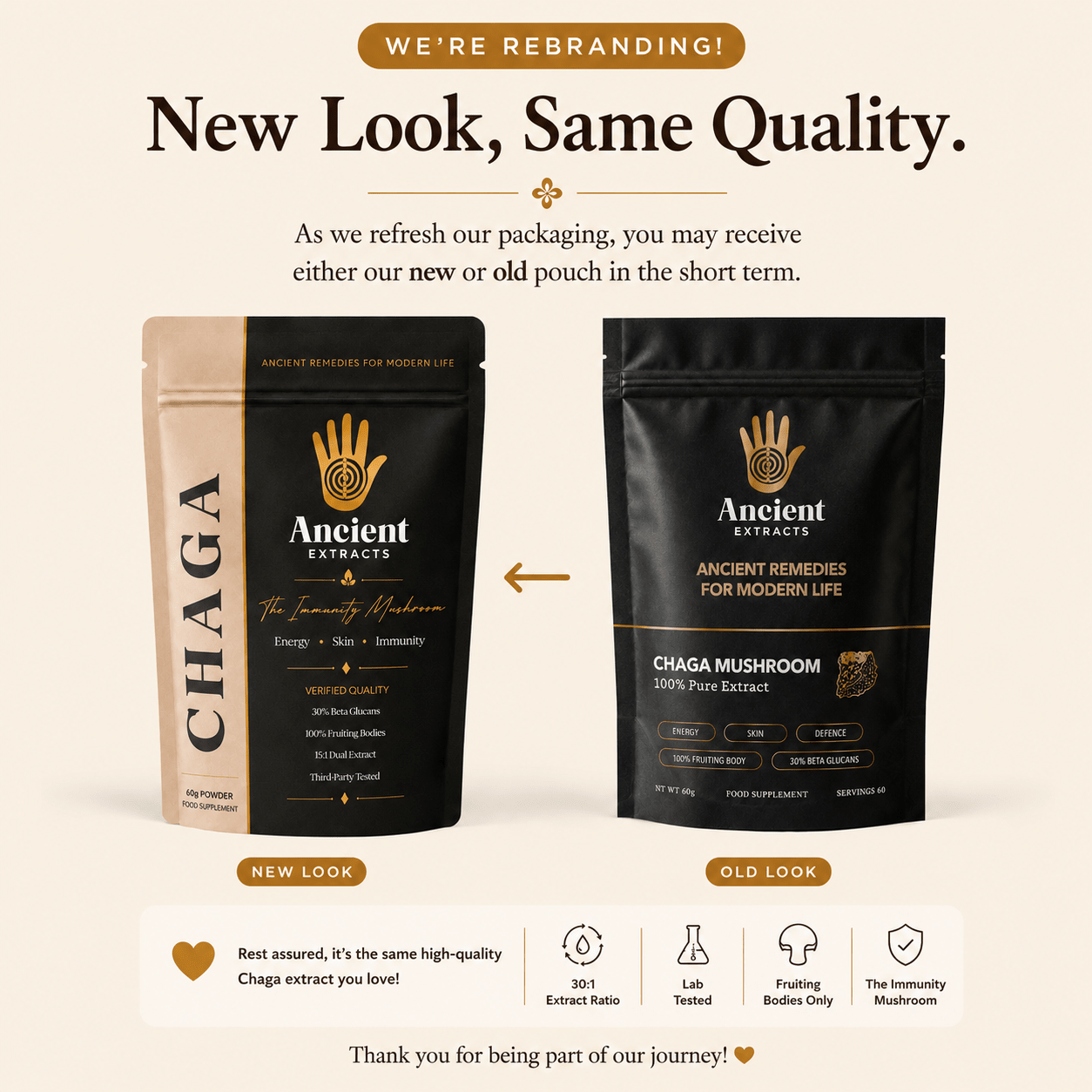 Energy Pair Cordyceps & Chaga Extracts - Ancient Extracts