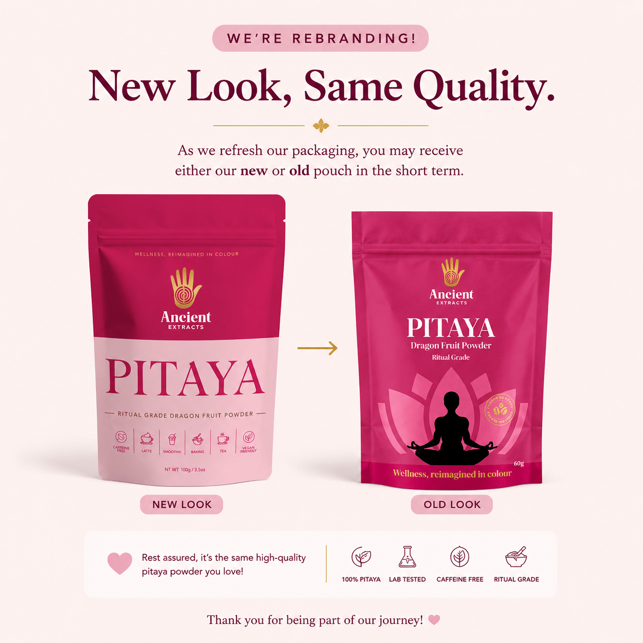 Ritual Grade Dragon Fruit Matcha Powder (Copy) - Ancient Extracts