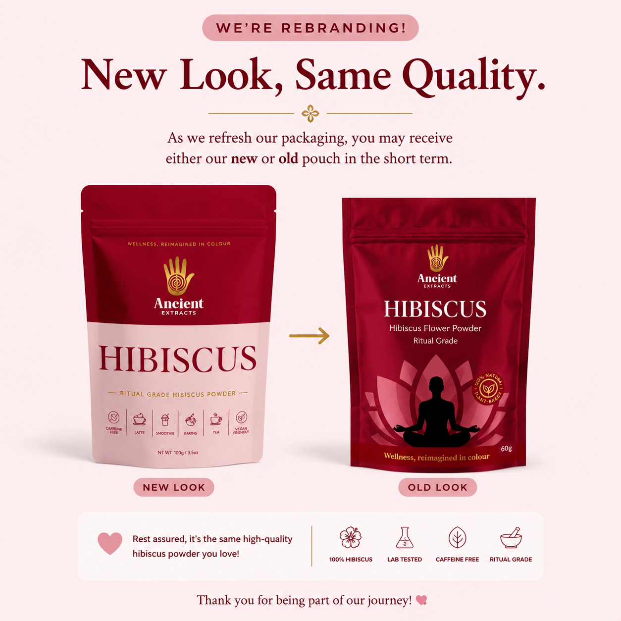Ritual Grade Hibiscus Matcha Powder (Copy) - Ancient Extracts