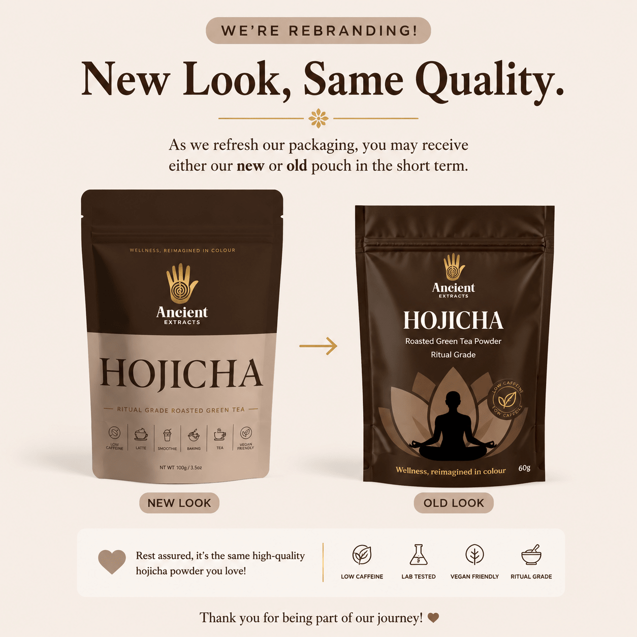 Ritual Grade Hojicha Powder (Copy) - Ancient Extracts