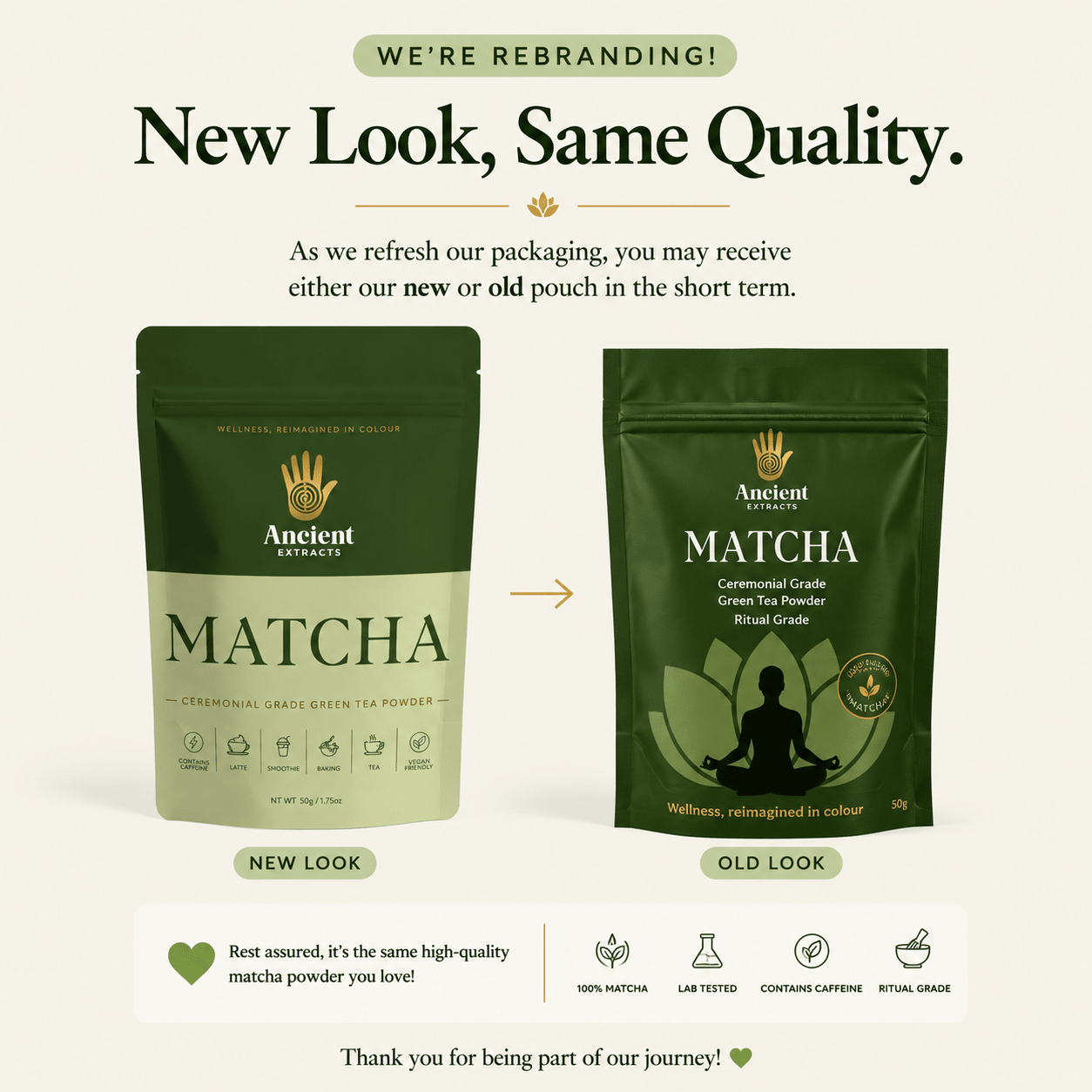 Ceremonial Grade Matcha (Copy) - Nutrition support - Ancient Extracts