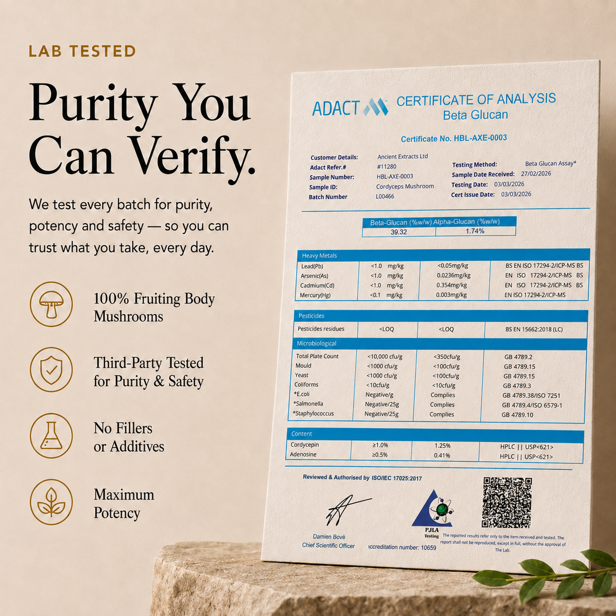 A cordyceps certificate of analysis for Beta Glucan from the brand ADACT, displayed on a light beige textured surface next to a white and blue paper document. The image includes marketing text overlays on the left side detailing product benefits like 'Purity You Can Verify' and '100% Fruiting Body Mushrooms'.