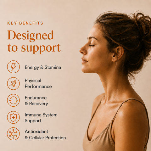 Cordyceps Mushroom Extract Powder