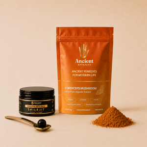 Energy Stack - Cordyceps and Shilajit Resin
