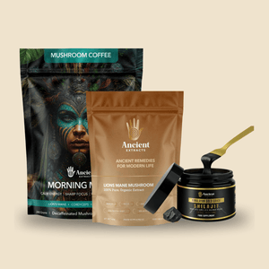 Digestive+ Stack - Shilajit Resin, Lion's Mane and Morning Magic