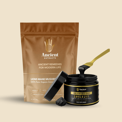 Digestive Reset Stack - Lion's Mane and Shilajit Resin - Ancient Extracts