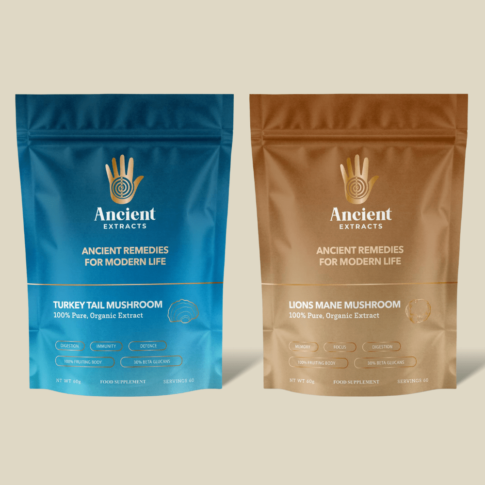 Digestive Pair Lions Mane & Turkey Tail Extracts - 30% Beta Glucans (60g each) - Ancient Extracts
