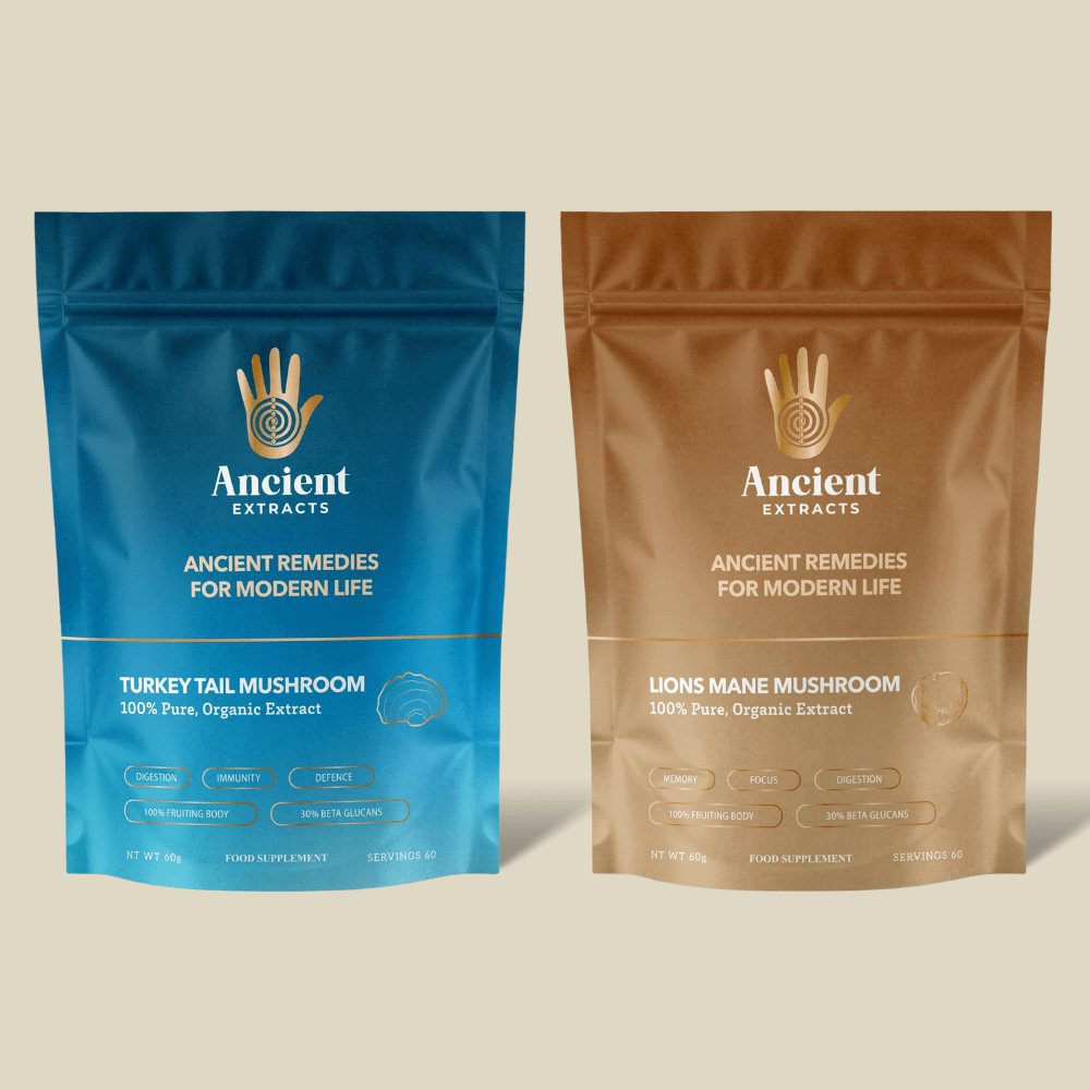 Digestive Pair Lions Mane & Turkey Tail Extracts - 30% Beta Glucans (60g each) - Ancient Extracts