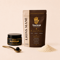 Digestive Reset Stack - Lion's Mane and Shilajit Resin - Ancient Extracts