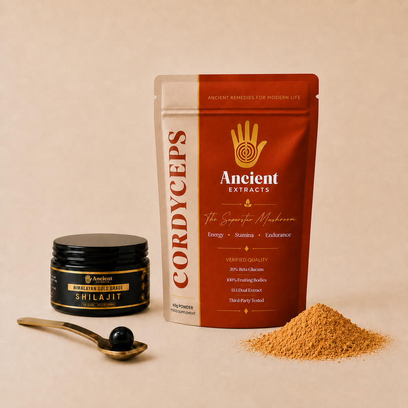 Energy Stack - Cordyceps and Shilajit Resin