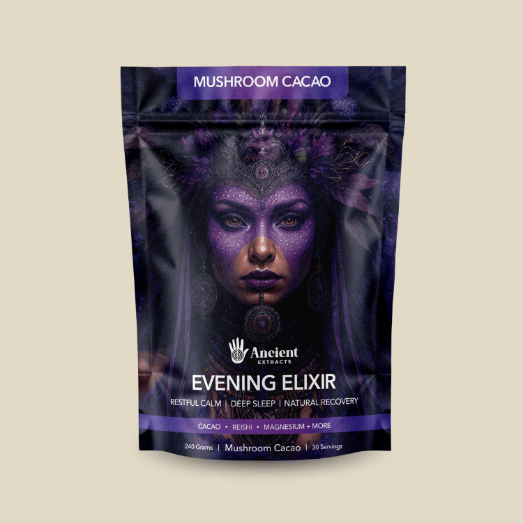 Evening Elixir Mushroom Cacao (240g) - Mushroom Extract - Ancient Extracts