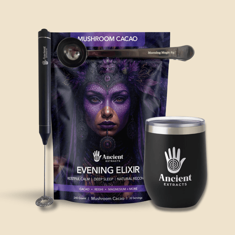 Evening Elixir Mushroom Cacao - Starter Kit - Mushroom Extract - Ancient Extracts