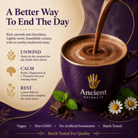 Am & Pm Ritual - Morning Magic & Evening Elixir