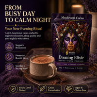 Evening Elixir Mushroom Cacao - Starter Kit
