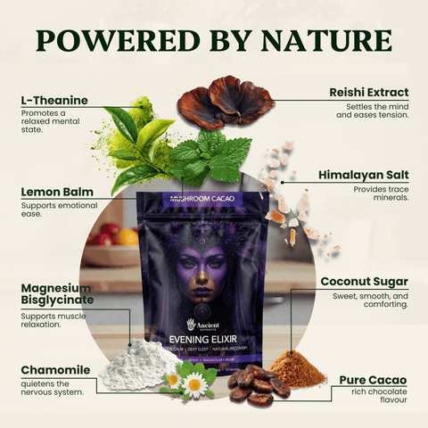 Evening Elixir Mushroom Cacao - Mushroom Extract - Ancient Extracts