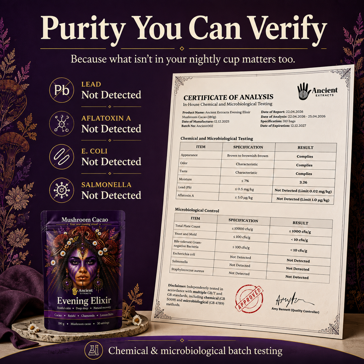 Evening Elixir Mushroom Cacao - Starter Kit