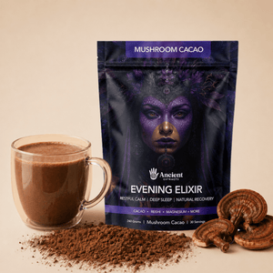 Evening Elixir Mushroom Cacao