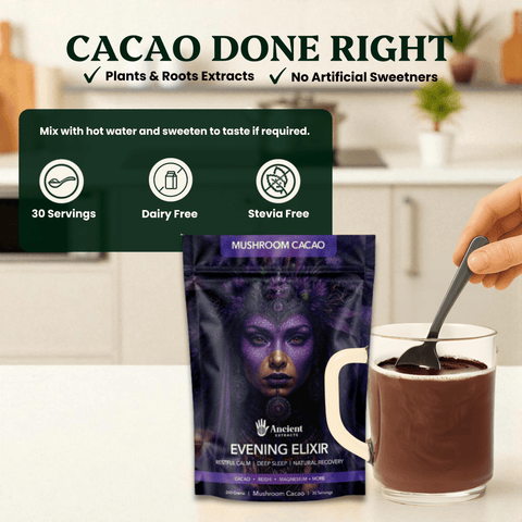 Evening Elixir Mushroom Cacao (180g) - Mushroom Extract - Ancient Extracts