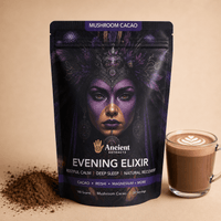 Evening Elixir Mushroom Cacao - Mushroom Extract - Ancient Extracts