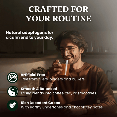 Evening Elixir Mushroom Cacao (180g) - Mushroom Extract - Ancient Extracts