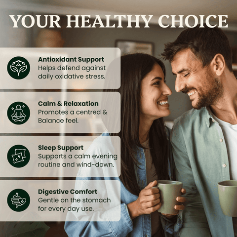 Evening Elixir Mushroom Cacao (180g) - Mushroom Extract - Ancient Extracts