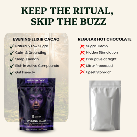 Evening Elixir Mushroom Cacao (180g) - Mushroom Extract - Ancient Extracts