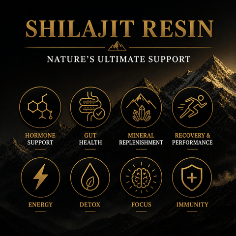 Shilajit Resin - Himalayan Gold Grade - Nutrition support - Ancient Extracts