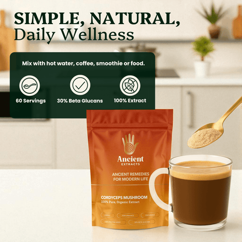 Cordyceps Mushroom Extract Powder - 30% Beta - glucan (60g) - Mushroom Extract - Ancient Extracts