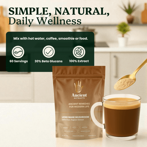 Lion's Mane Mushroom Extract Powder - 30% Beta - glucan (60g) - Mushroom Extract - Ancient Extracts