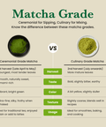 Ceremonial Matcha AAAA+ Grade - 50 Servings - 50g - Nutrition support - Ancient Extracts
