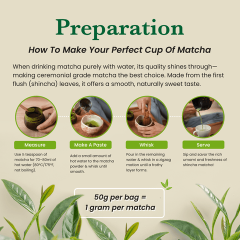 Ceremonial Matcha AAAA+ Grade - 50 Servings - 50g - Nutrition support - Ancient Extracts