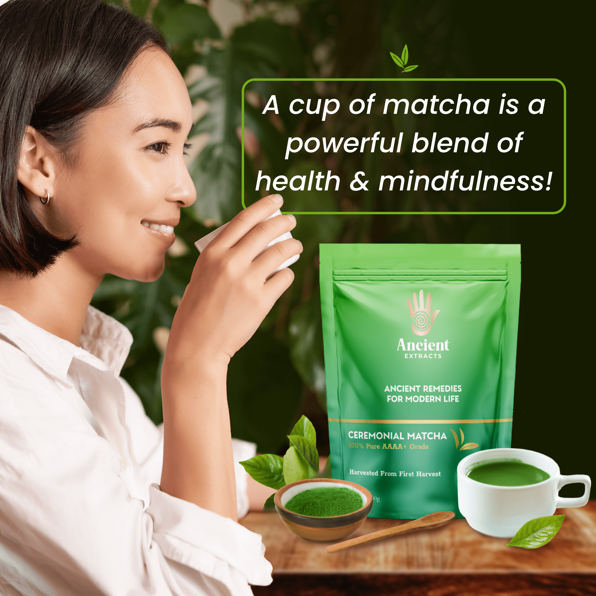 Ceremonial Matcha AAAA+ Grade - 50 Servings - 50g - Nutrition support - Ancient Extracts