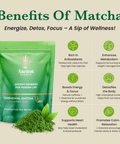 Ceremonial Matcha AAAA+ Grade - 50 Servings - 50g - Nutrition support - Ancient Extracts