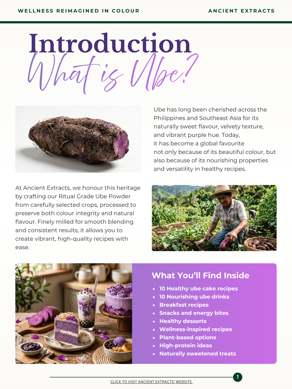 Ube Recipe Book