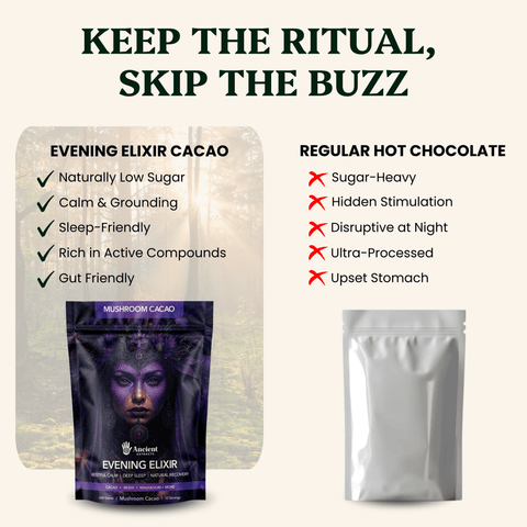 Evening Elixir Mushroom Cacao - Mushroom Extract - Ancient Extracts