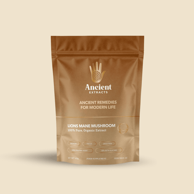 Lion's Mane Mushroom Extract Powder - Mushroom Extract - Ancient Extracts