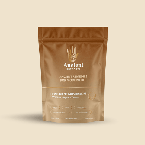 Lion's Mane Mushroom Extract Powder - Mushroom Extract - Ancient Extracts