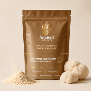 Lion's Mane Mushroom Extract Powder
