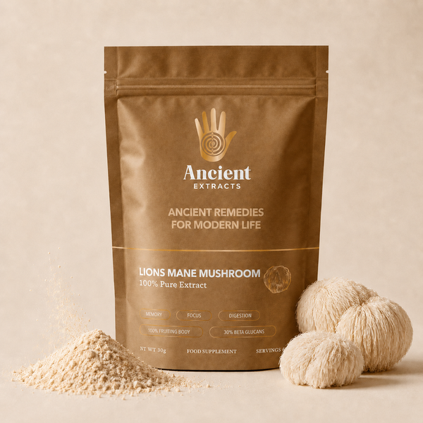 Lion's Mane Mushroom Extract (30g)
